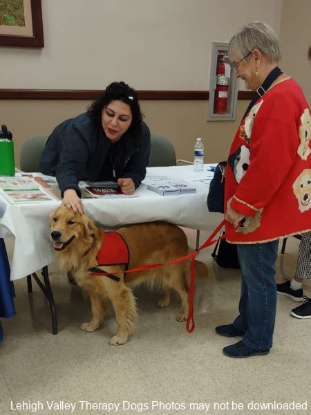 Alliance Of Therapy Dogs Lehigh Valley Therapy Dogs