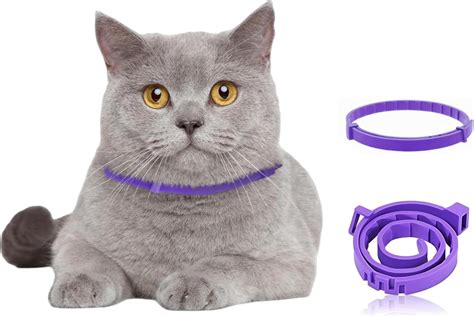 Amazon Com Calming Collar For Cats 60 Days Of Effective Stress And