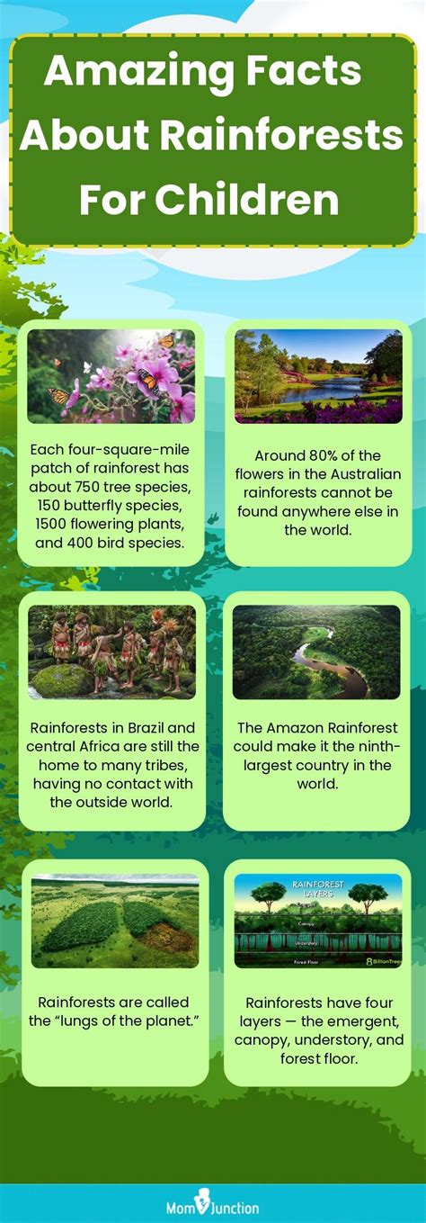 Amazon Rainforest Animals Facts And Pictures For Kids Glad Philis