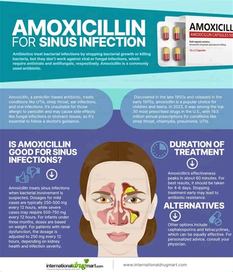 Amoxicillin For Sinusitis