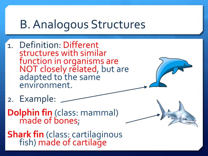 5 Analogous Structures