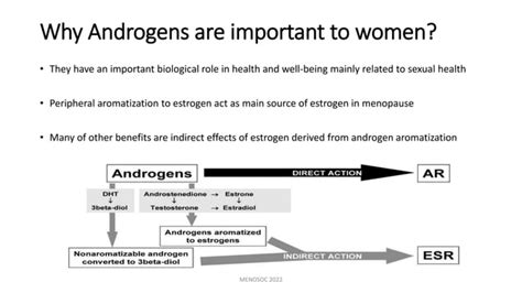 Androgen Therapy In Women