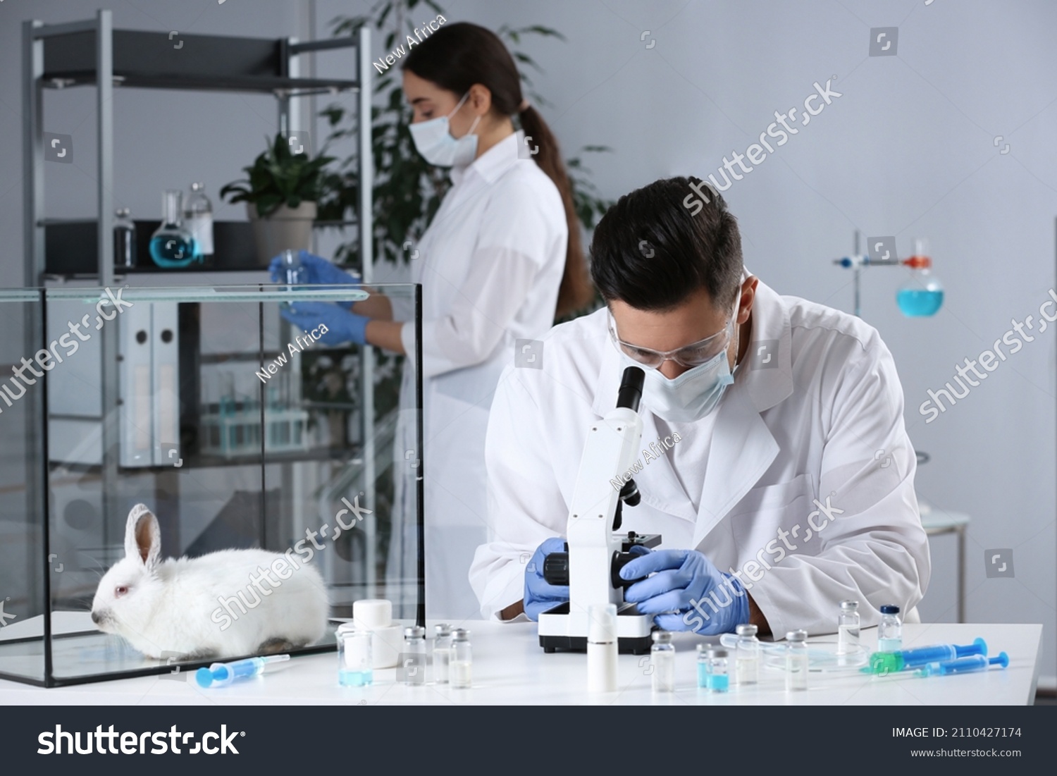 Animal Sciences Laboratory Research