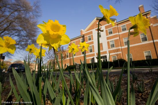 Applying For An Nsf Graduate Research Fellowships Tips From A Reviewer