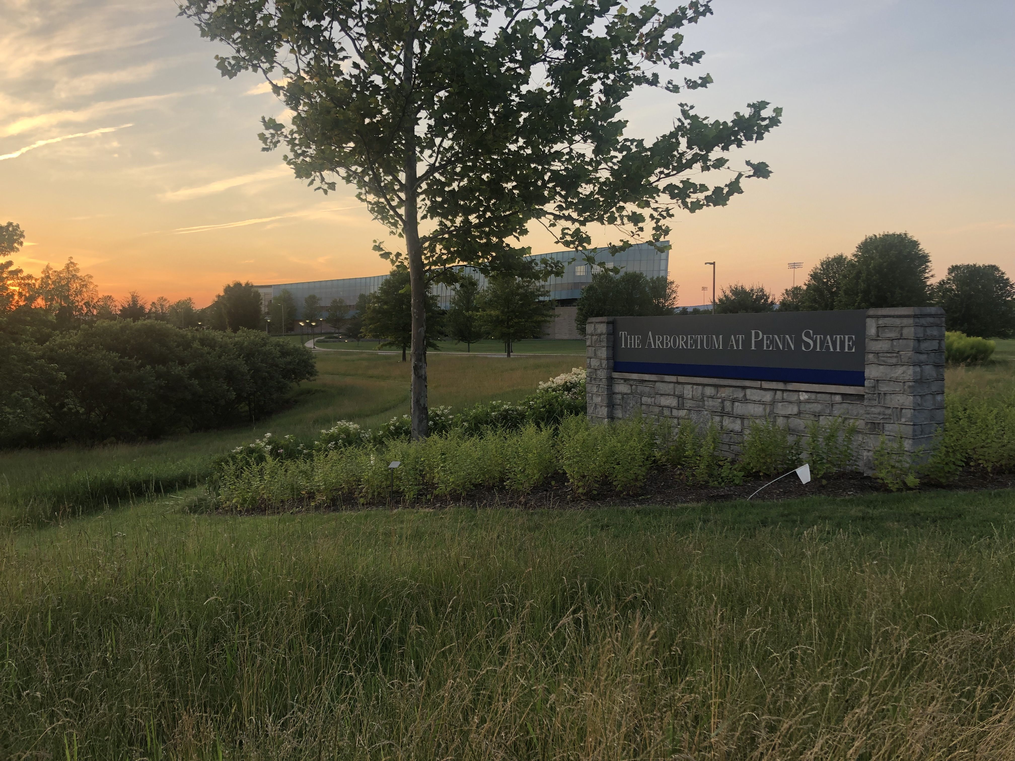 Penn State Arboretum Visit