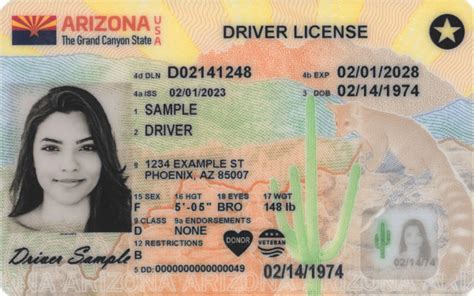 Arizona Drivers License Renewal Department Of Transportation