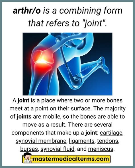 Arthr/O Medical Term
