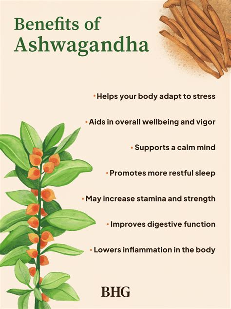 Ashwagandha Benefits For Female