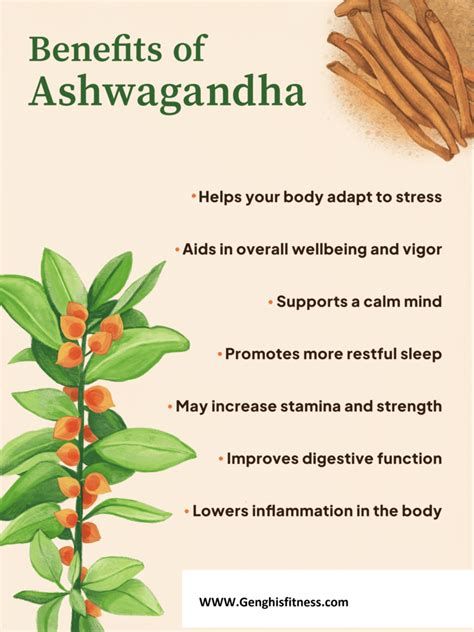 Ashwagandha Benefits For Women For Holistic Wellbeing