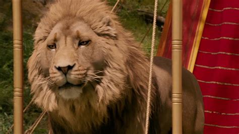 Aslan Lion Witch Wardrobe Guide