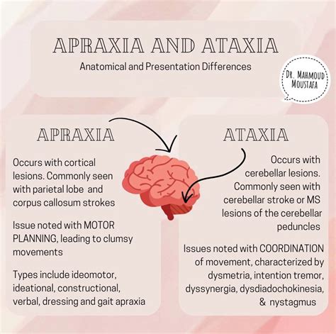 Ataxia Vs Apraxia Lesson Study Com