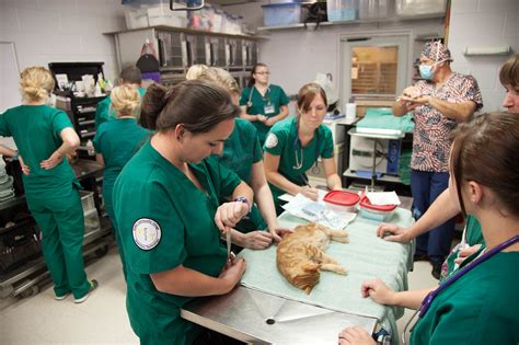 Austin Community College Vet Tech Program Flickr Photo Sharing