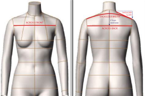 Average Shoulder Width And How To Measure Yours