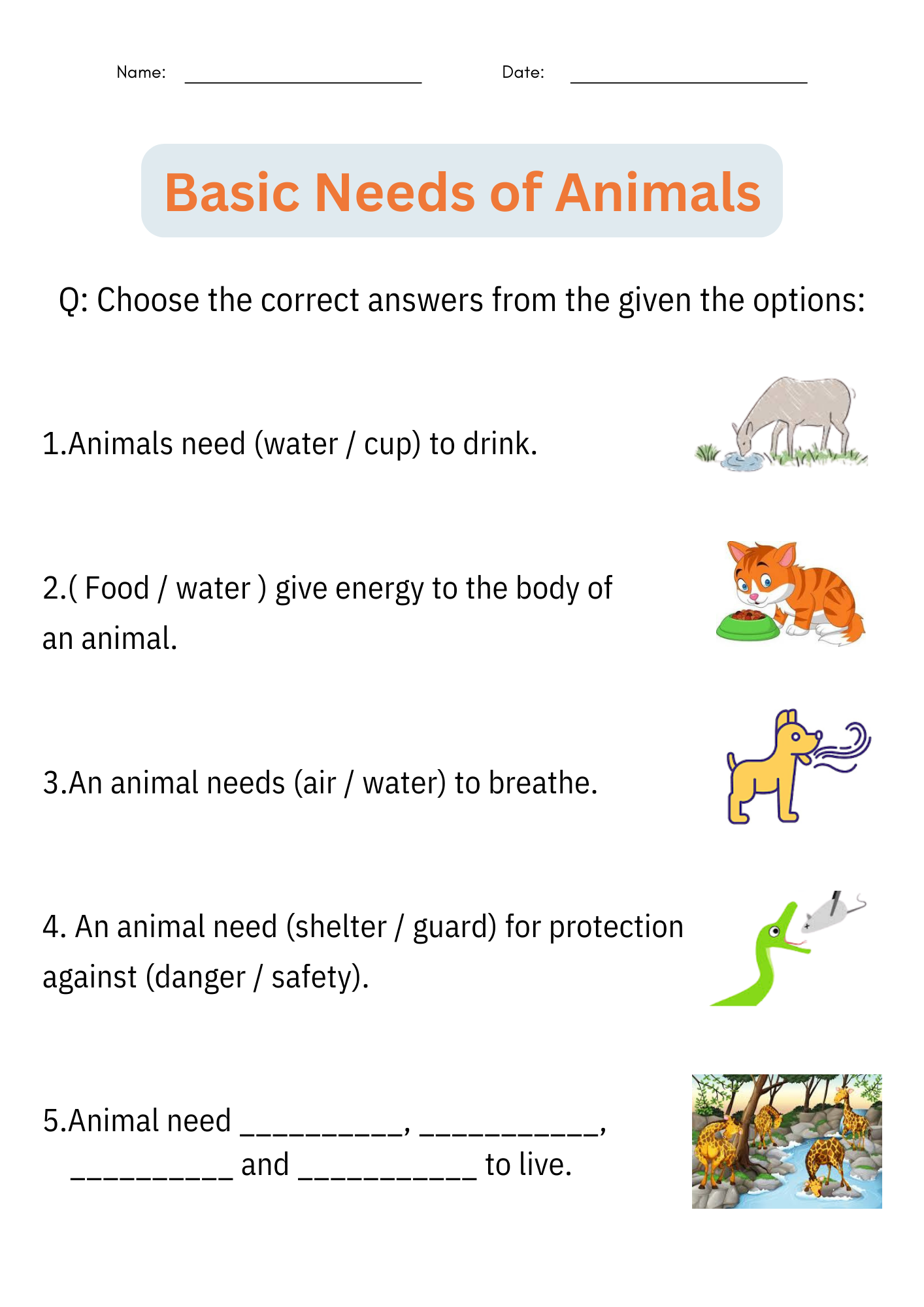 Basic Needs Of Animals Activities Taking Care Of Animals Worksheet