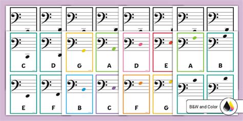Bass Clef Music Notes Guide