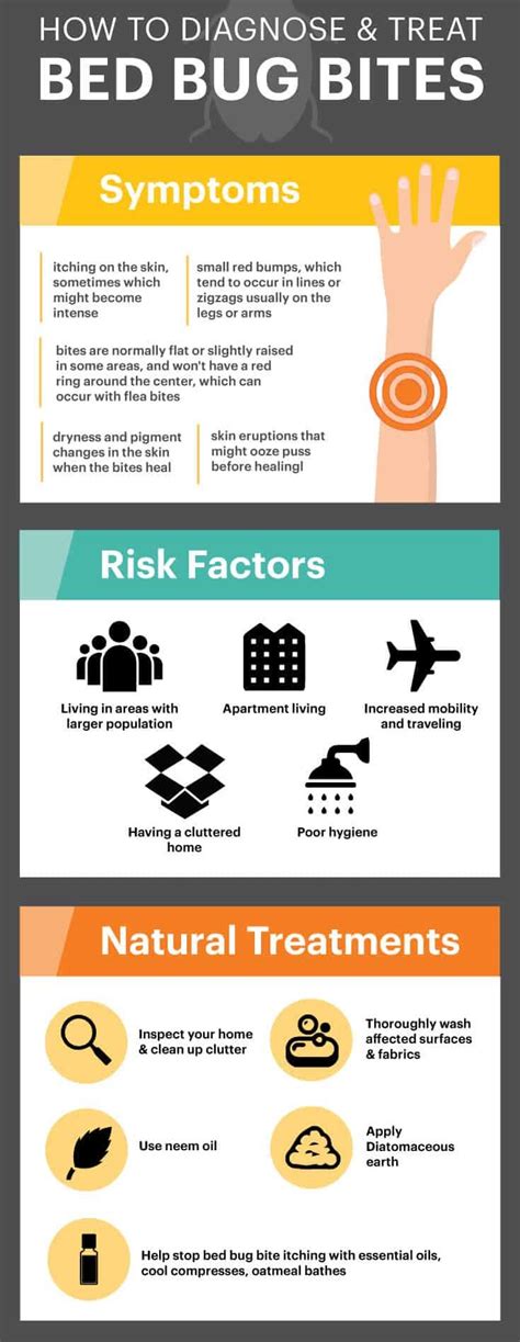 Bed Bug Bites Pictures Symptoms Treatment Prevention Jethro Jeff