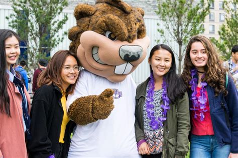 Benny S Tools For Student Success Transfer Students The City