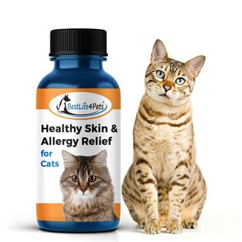 Best Allergy Medicine For Cats Top Picks For Feline Allergies In 2023