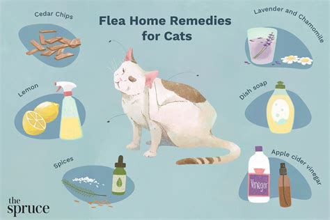 Best Flea Treatment For Cats 2024 Kacy Sallie