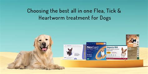 Best Heartworm Flea And Tick For Dogs At Stephanie Bernard Blog
