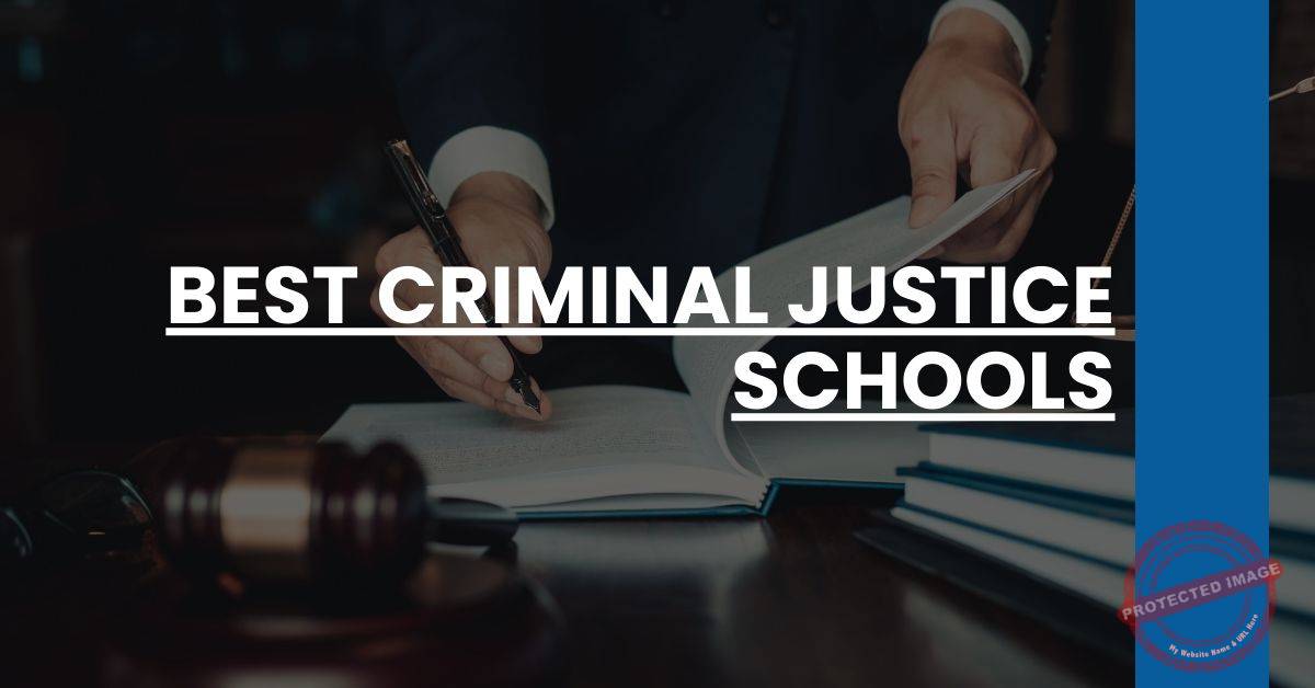 Best Online Schools For Criminal Justice