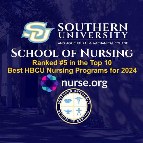 Best Undergraduate Nursing Schools In The South Collegelearners Com