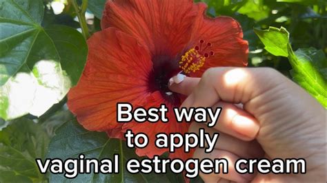 Best Way To Apply Vaginal Estrogen Cream Youtube