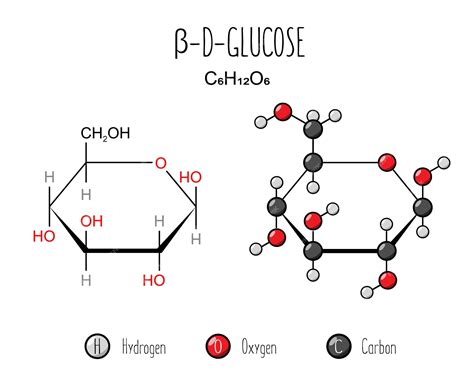 Beta Glucose Structure