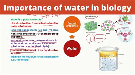 Biology Chemistry Overview And Properties Of Water