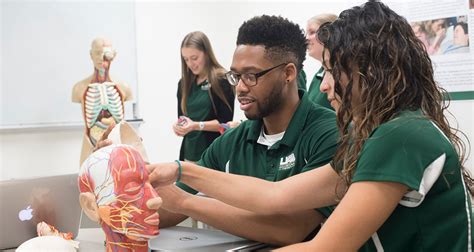 Biomedical And Health Sciences Ms Find Your Degree