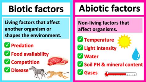 Biotic And Abiotic Difference Between Abiotic And Biotic Factors