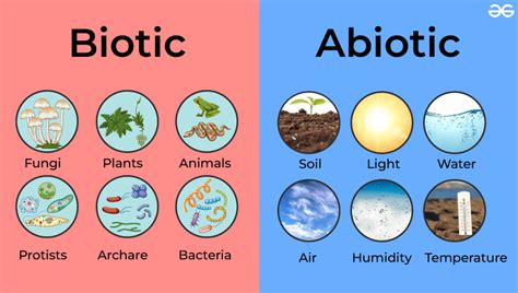 Biotic vs Abiotic Components Explained