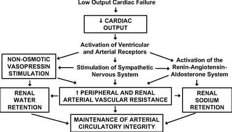 Blood Urea Nitrogen And Serum Creatinine Circulation Heart Failure