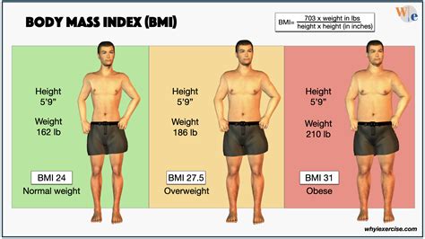 Body Mass Index Bmi Find Your Healthy Weight Why I Exercise