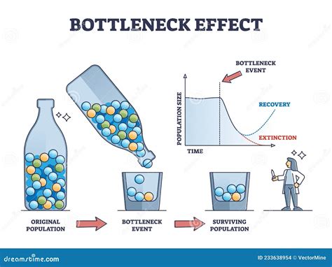 Bottleneck Effect Example