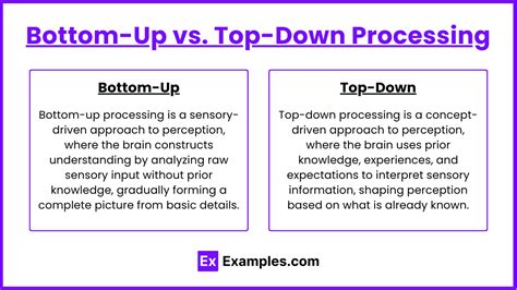 Bottom Down Processing Explained
