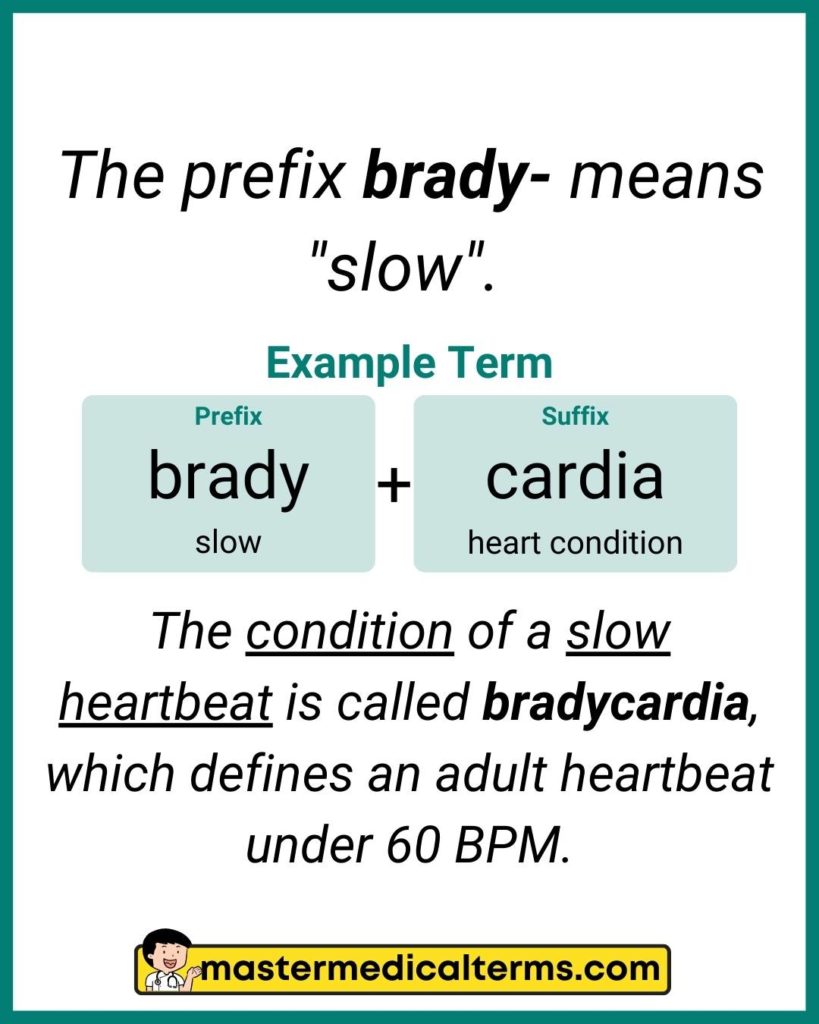 5 Brady Medical Terms