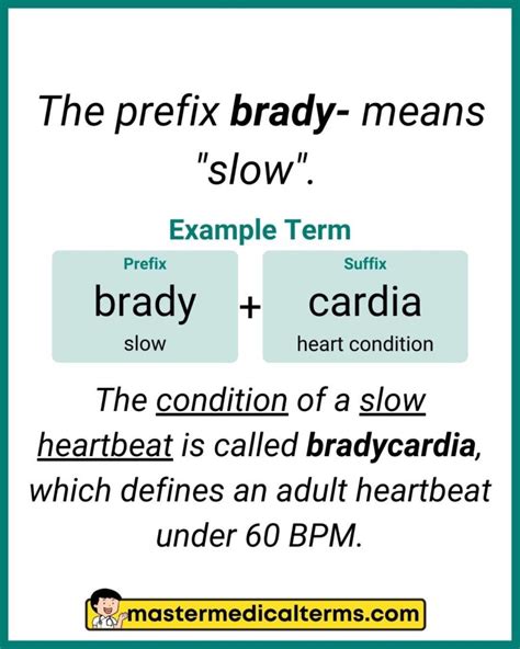 Brady Medical Term
