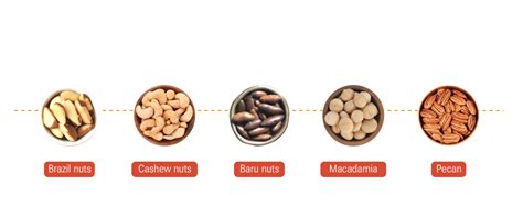 5 Brazil Nut Facts