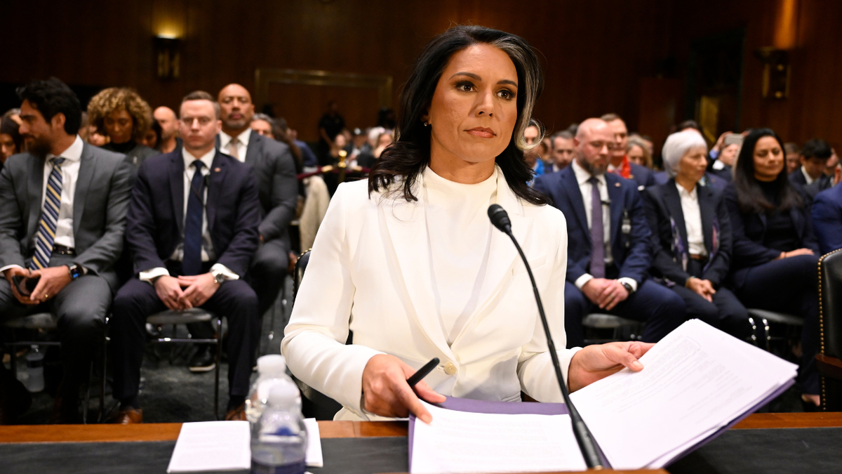 Breaking Tulsi Gabbard Clears Last Hurdle Before Final Senate