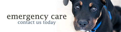 Brewer Emergency Vet