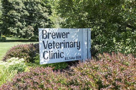 Brewer Veterinary Clinic 111 Pierce Road Brewer Me 04412 Usa