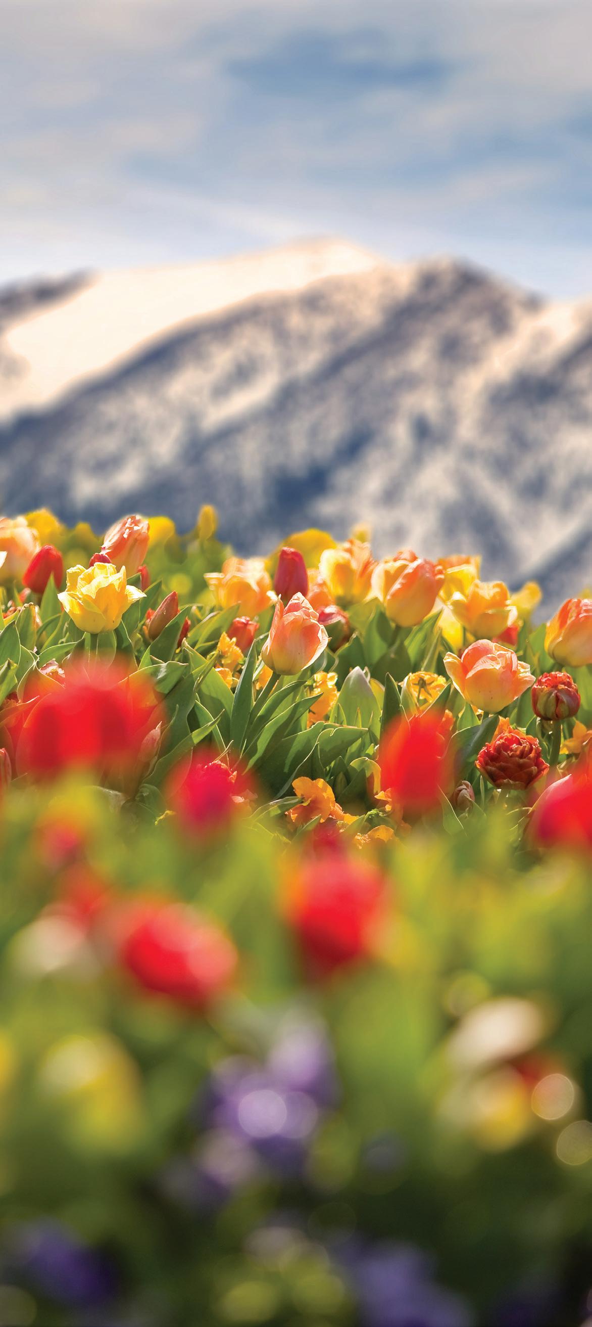 Bristol Regional By Patient Point Issuu