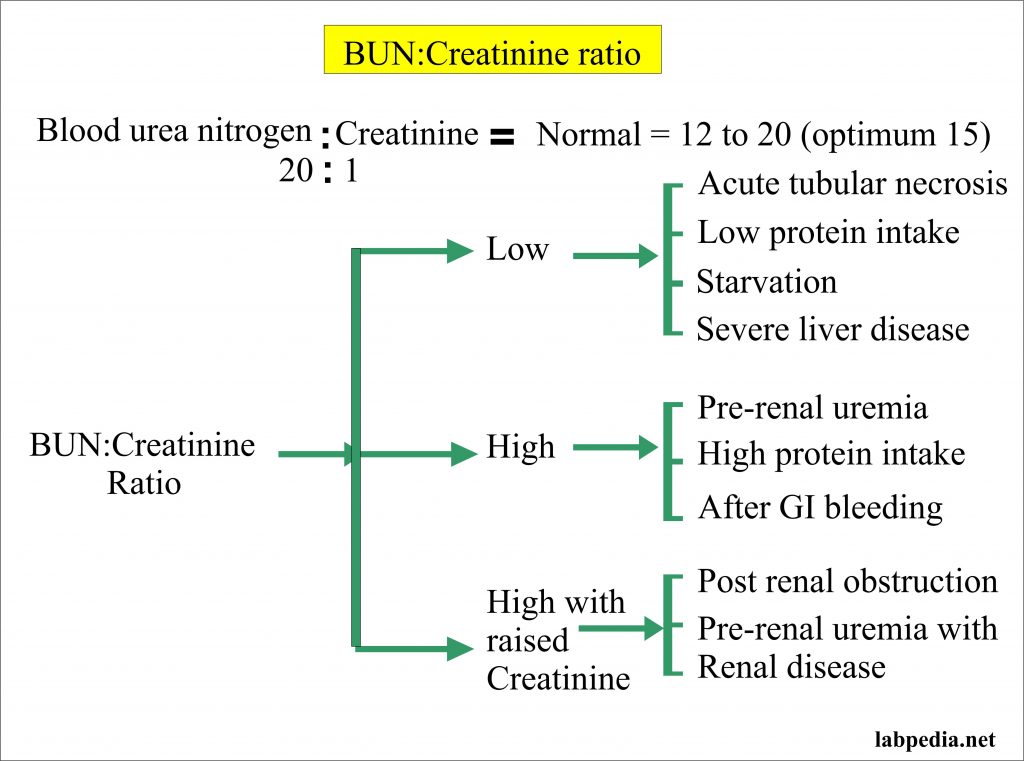 Bun Or Creatinine Ratio