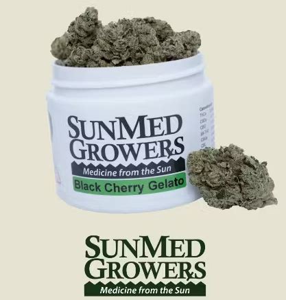 Buy Garlic Cherry Gelato Buds Online Gleaf Rockville Rockville