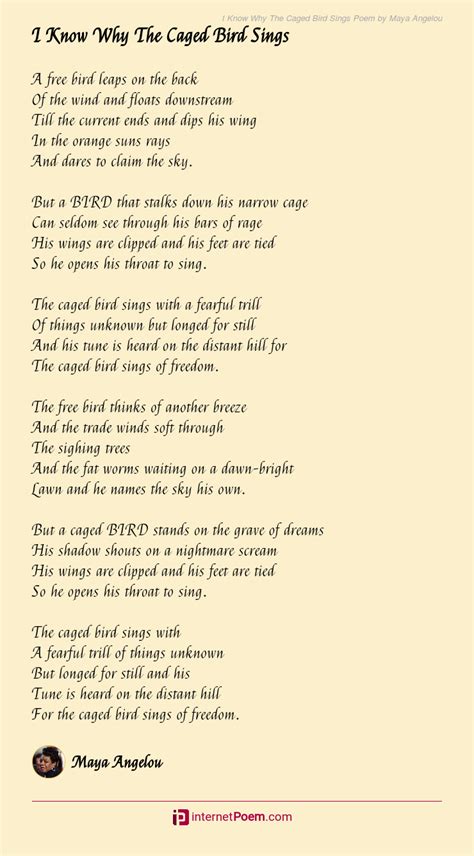 Caged Bird Sings Freedom