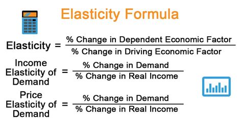 5 Ways Calculate Elasticity