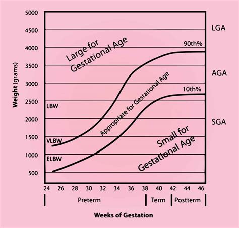 Calculate Gestational Age Based On Months Weeks Junaidkaleah
