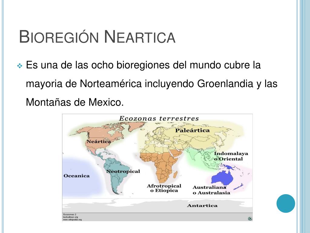 Camino Del Sol Bioregi N Valle Maipo