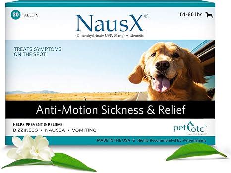 Can Dogs Take Anti Nausea Medicine